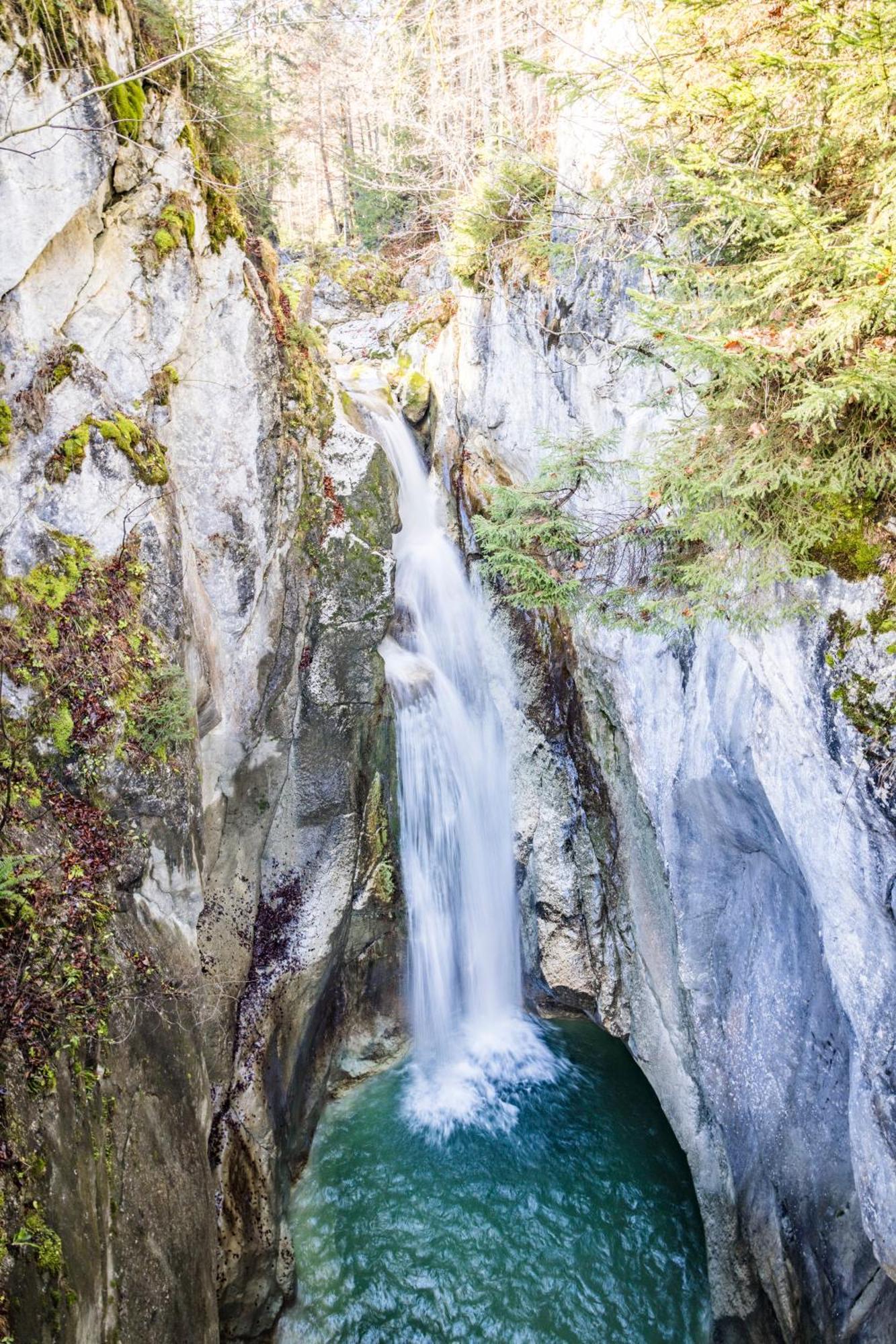 Feuriger Tatzlwurm Hotel Bayrischzell Luaran gambar